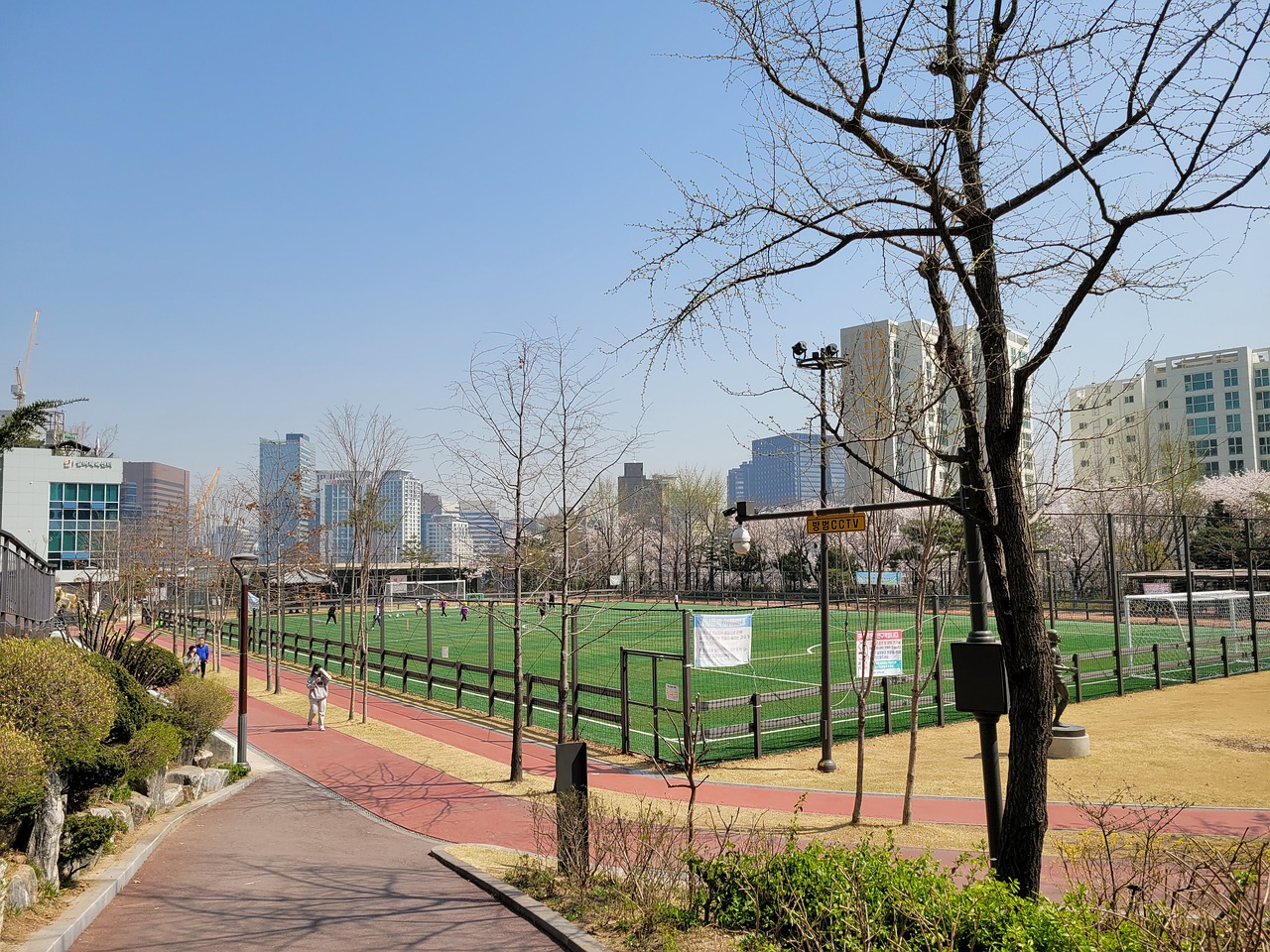 展示了非凡