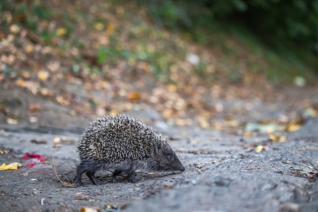 案例剖析 案例剖析