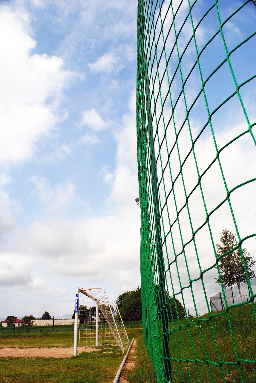 将在不久的 将在不久的