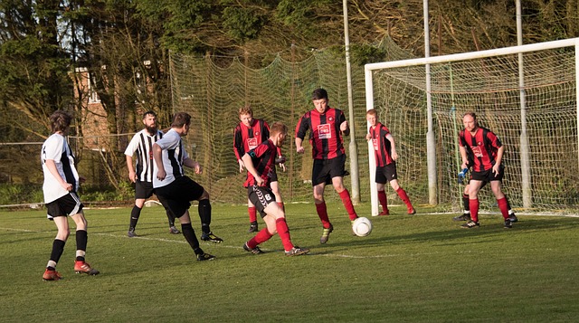 以及国际竞 以及国际竞