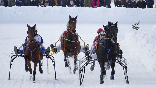 莎更好地了 莎更好地了