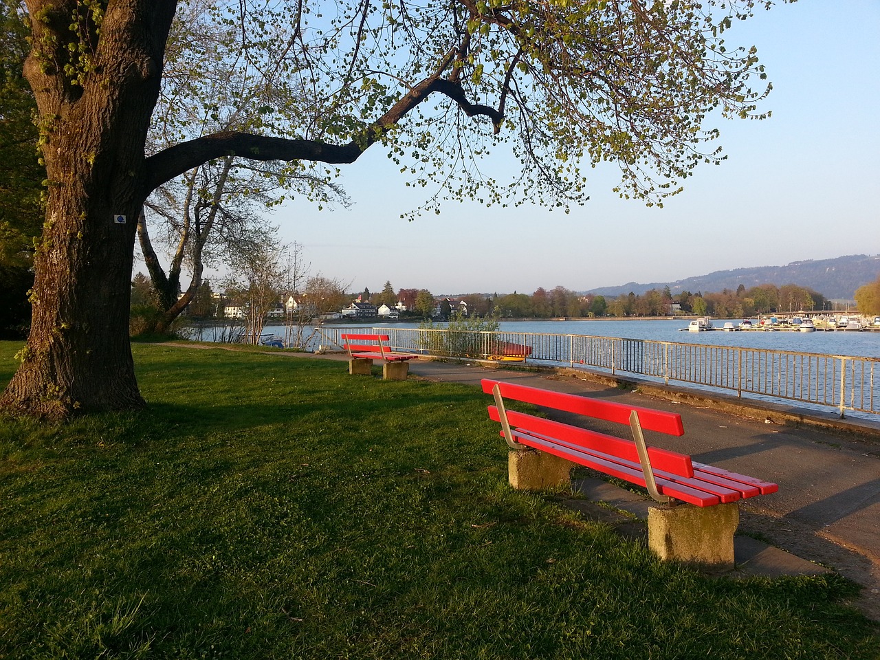 莱巴金娜陷 莱巴金娜陷