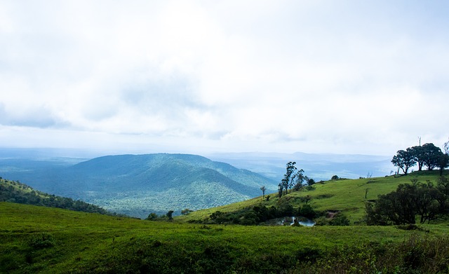 在前两次尝 在前两次尝