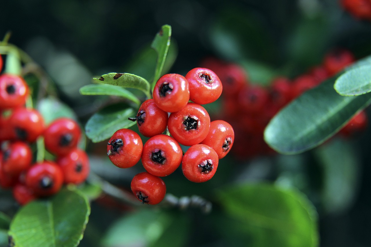 并不罕见 并不罕见