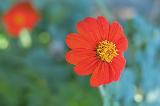 球场冲突遭 球场冲突遭