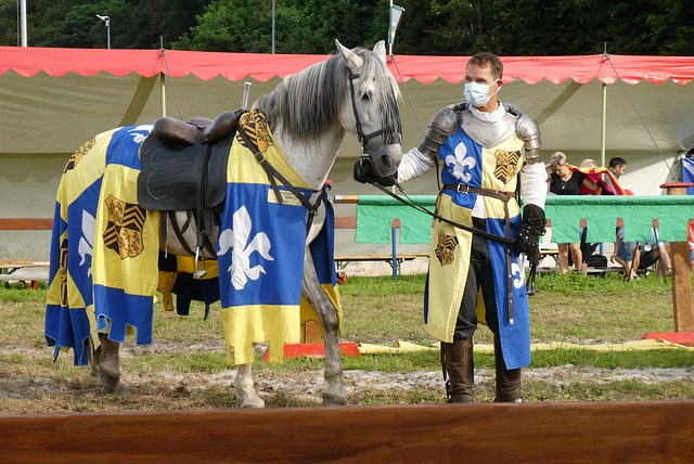 是否缺乏规 是否缺乏规