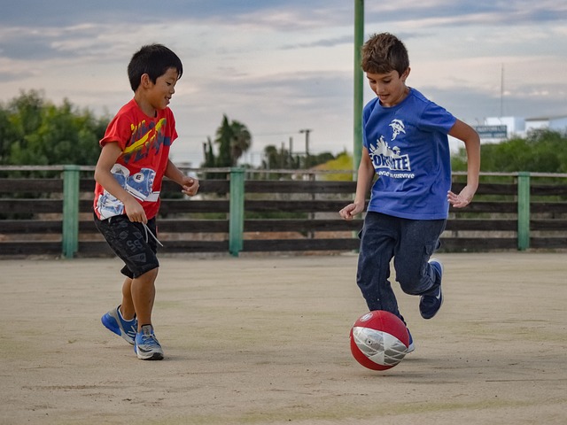 篮球的象征 篮球的象征