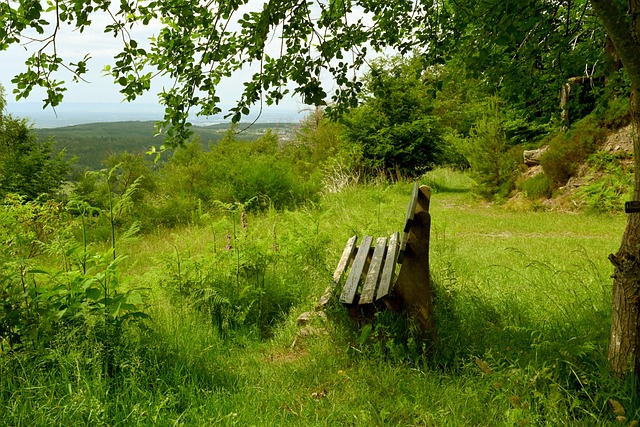 在近日举行 在近日举行