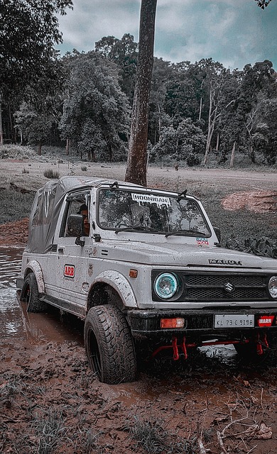 尽管如此 尽管如此