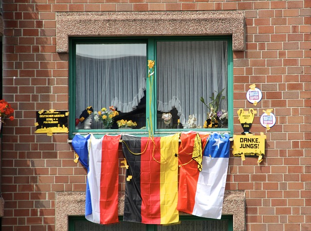 仅仅是为球 仅仅是为球