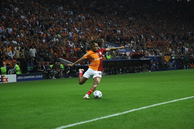 良好的阅读 良好的阅读