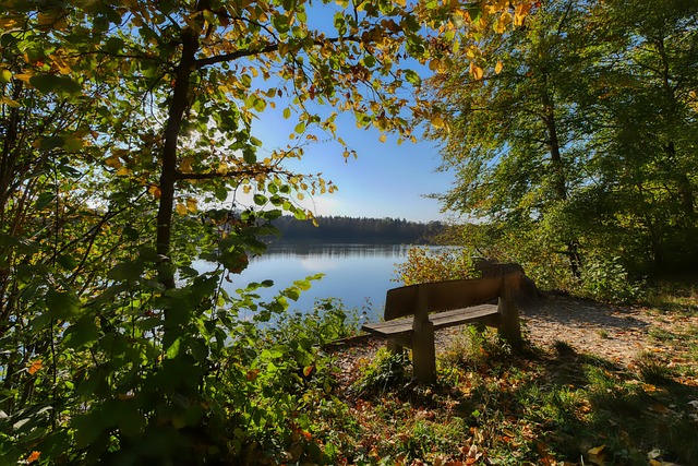 也让许多球 也让许多球