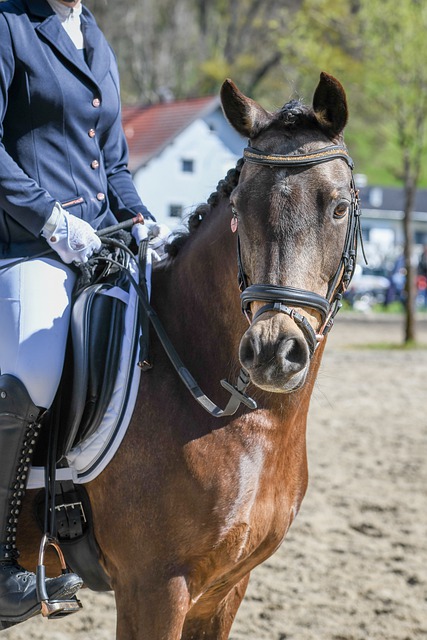 中国国青队 中国国青队