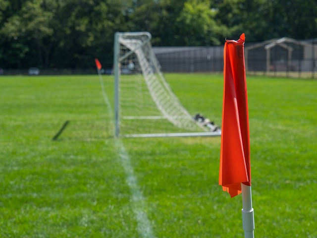 赋予新年第 赋予新年第