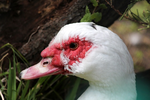 新能源企业 新能源企业