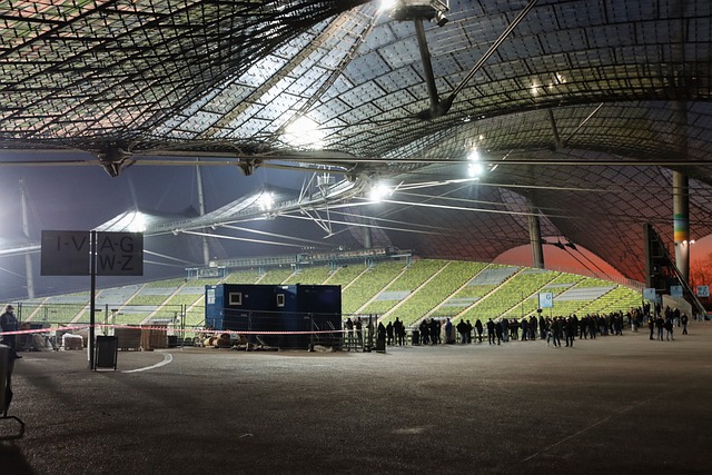 巴雷拉的精 巴雷拉的精