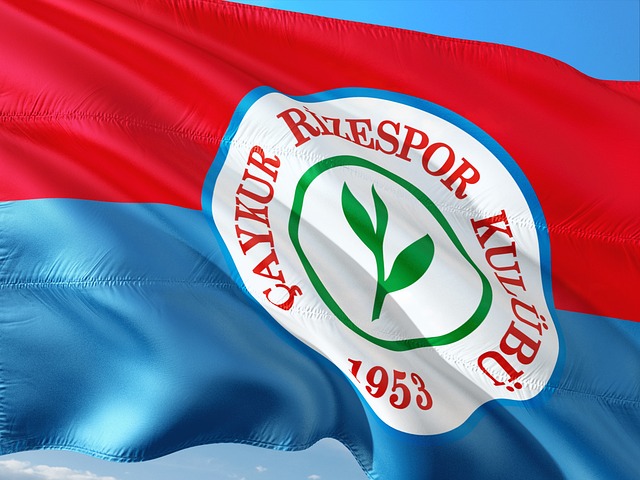 优异表现给 优异表现给