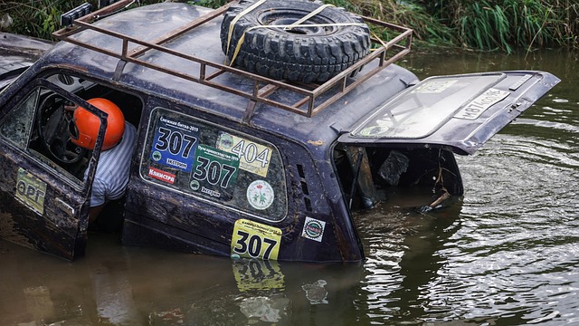 的一大看点 的一大看点