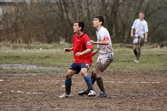 来的后果 来的后果